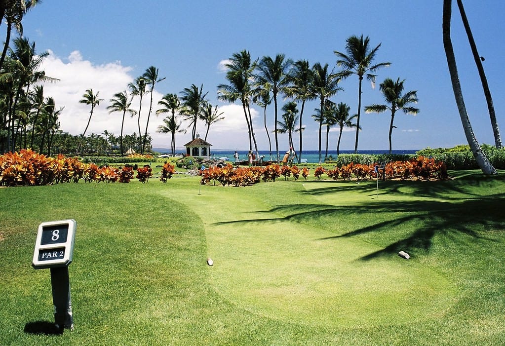 golf-courses